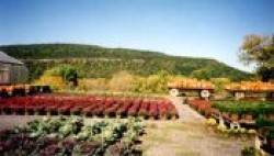 Schoharie Valley Farms