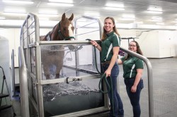 SUNY Morrisville Equine Rehabilitation Center (ERC) 